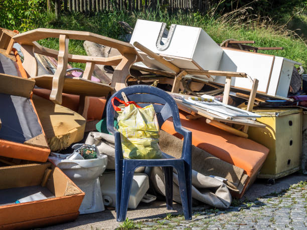 Debris Removal in West Park, FL